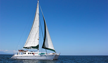 Nemo II 
